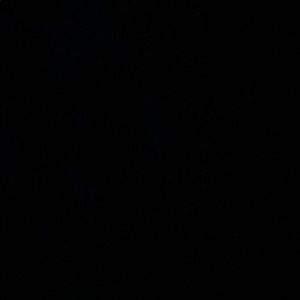 Meet your Posher, Frankie